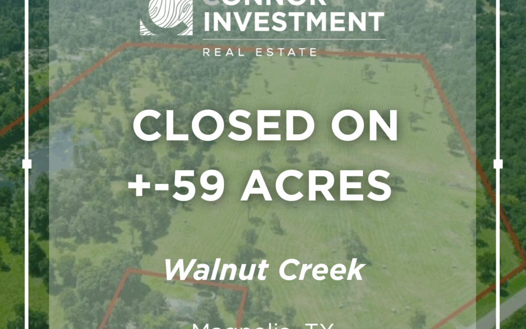 Walnut Creek