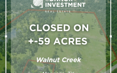 Walnut Creek